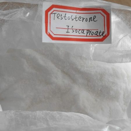 Order Testosterone Isocapronate powder online